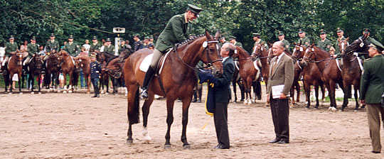 Europameister der Polizeireiter Dressur mit Gauner